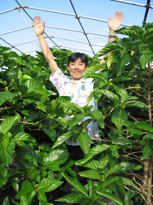 沖縄長生薬草販売部石橋さんと大きく生長したノニの木
